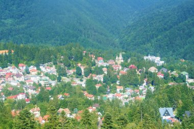 Karpat Dağları sahne, çam ormanı, Sinaia çekici Panoraması