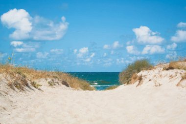 Sand dunes covered with dry grass and blue Baltic sea water at t clipart