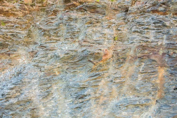 A részletek absztrakt természetes kő szikla vágni a textúra c közelről — Stock Fotó