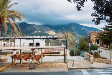 Mijas, İspanya - 08 Şubat 2015: Eşek taksi beyaz köy t