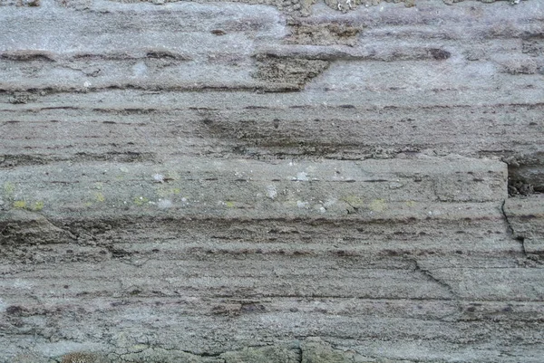 Közelről a makró háttér textúra a régi szürke falon borított — Stock Fotó