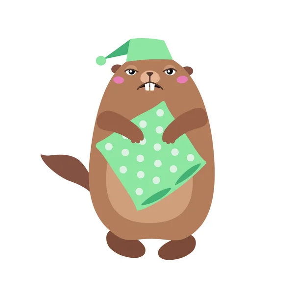 Ilustración de la marmota sosteniendo una almohada. Plano t — Archivo Imágenes Vectoriales