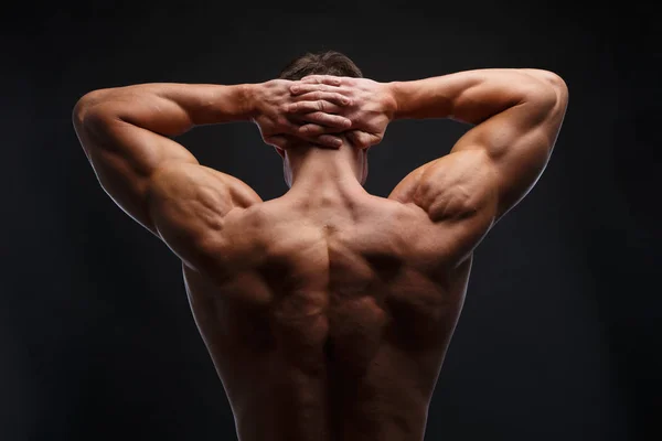 The back view of torso of attractive male body builder