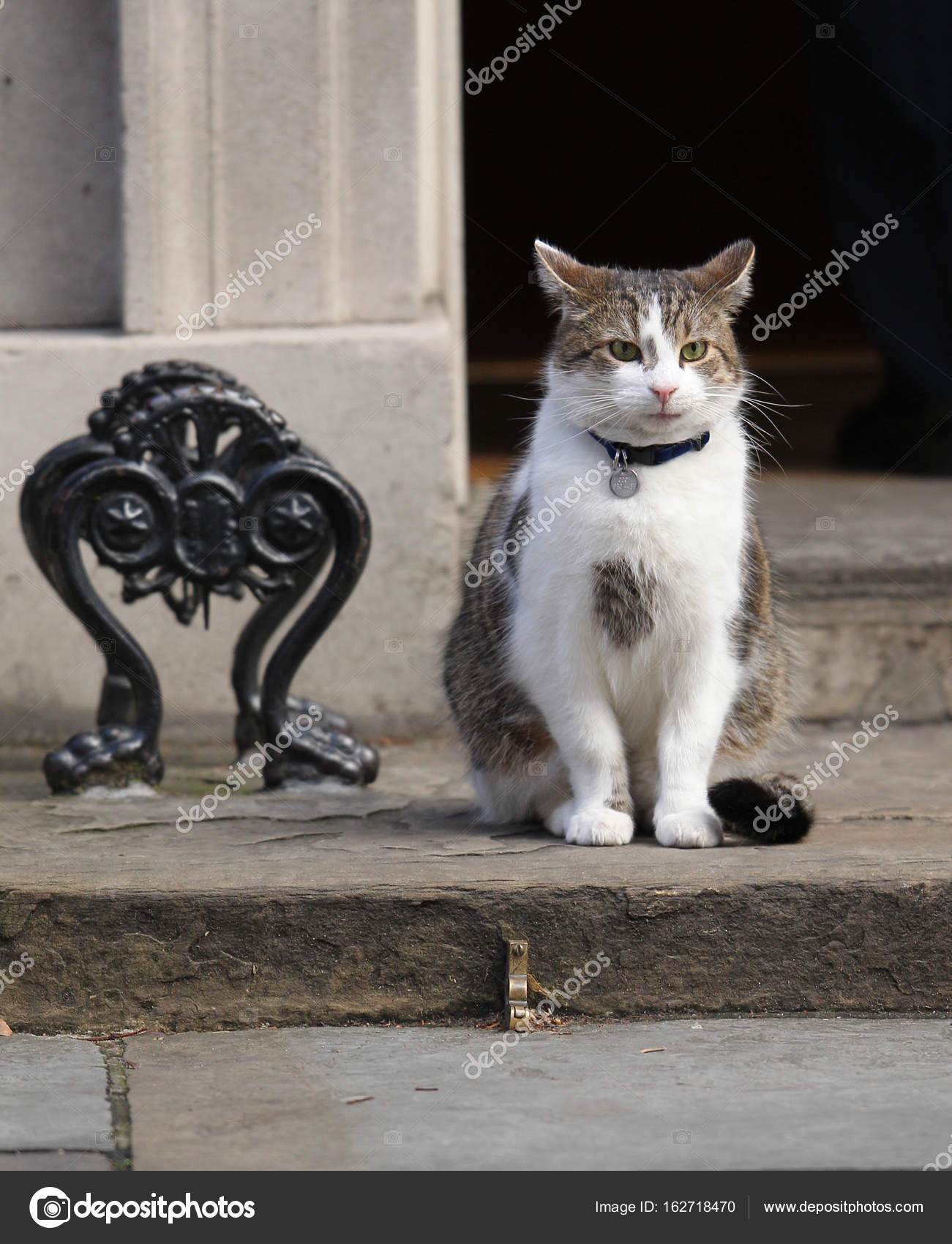 猫larry Www Dingjisc Com 猫larry Www Dingjisc Com