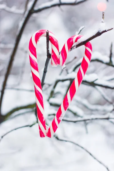 Bengalas doces com neve — Fotografia de Stock