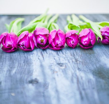 arka plan bahar çiçekleri ile