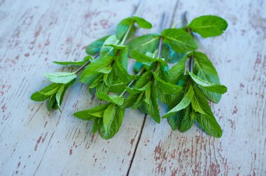 Ahşap arka plan üzerine nane. Bahar ve bitki kavramı, yaz soğuk