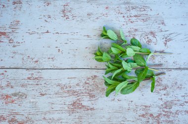 Ahşap arka plan üzerine nane. Bahar ve bitki kavramı, yaz soğuk