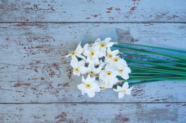 Nergis ahşap arka plan üzerinde. Soğuk renkler ve bahar kavramı.