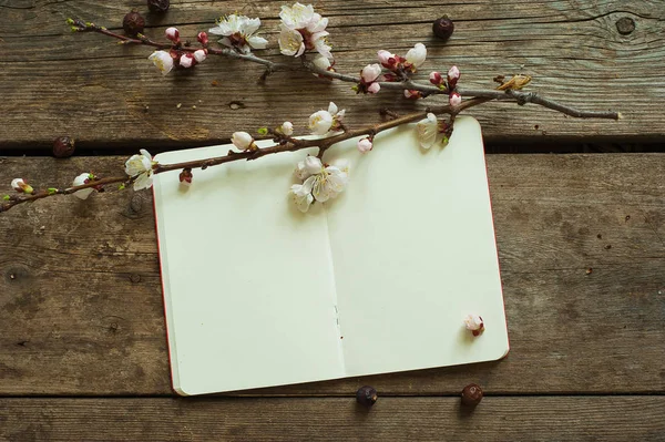 Cuaderno para ideas de primavera —  Fotos de Stock