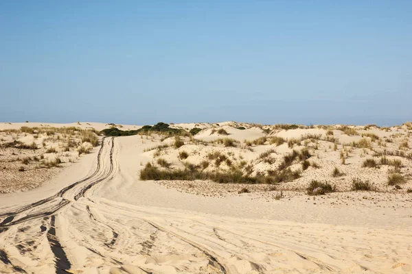Dunas de areia em Donana National Park, Matalascanas, Espanha — Fotografia de Stock