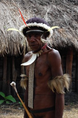 Wamena, Endonezya - 28 Aralık 2010: Vahşi insanlar domuz töreni sırasında geleneksel ulusal kostüm Dany kabile,