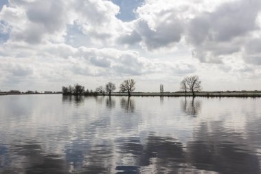 Ağaçlar ve gökyüzü yansıma Giethoorn, Felemenk, Hollanda çevresinde göl