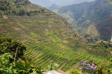 Panoramik Batad pirinç alan Teras Ifugao il, Banaue, Filipinler