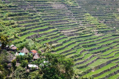 Panoramik Batad pirinç alan Teras Ifugao il, Banaue, Filipinler