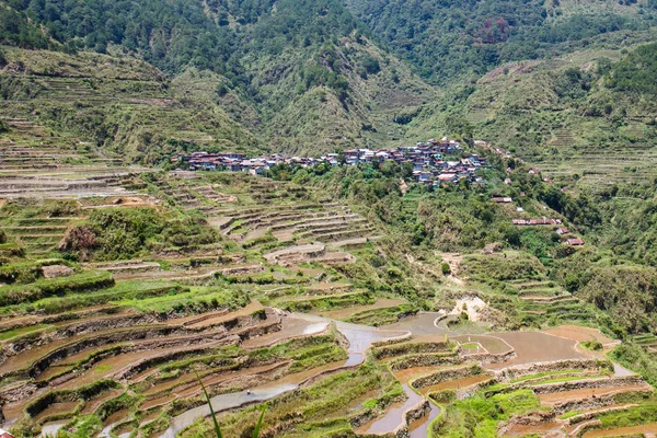 Maligcong rice terraces of the municipality in Mountain Province, Philippines — Stock Photo, Image