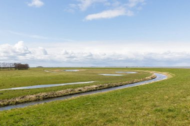 Tipik Hollanda Köyü Marken ahşap yeşil evler ve küçük hendek, Hollanda