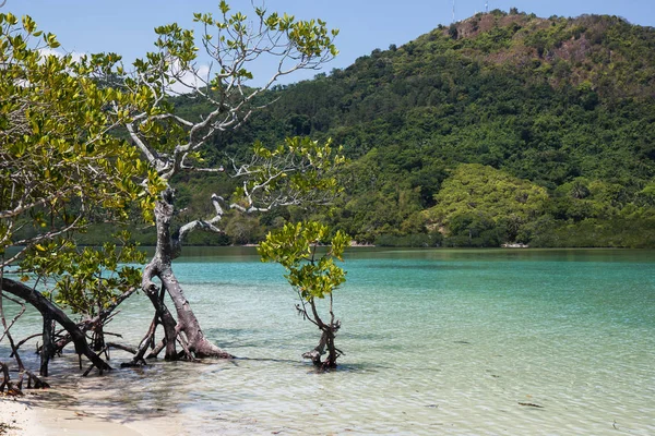 Paesaggio acquatico, El Nido, baia di Bacuit, isola di Palawan, provincia di Palawan, Filippine — Foto Stock