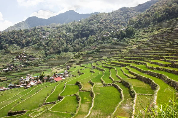 Batad pirinç alan Teras Ifugao il, Banaue, Filipinler