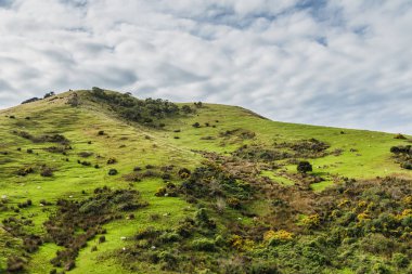 kıyı görünümü, Yeni Zelanda pacific coast, otago Yarımadası