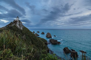 Yeni Zelanda Nugget noktası deniz feneri, Güney Adası