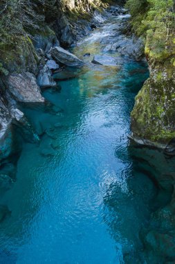 Mavi nehir mavi havuzları, Yeni Zelanda Güney Adası izlemek. Mavi havuzu parça devlet karayolu 6, Haast Pass kısa bir yürüyüş mesafesindedir