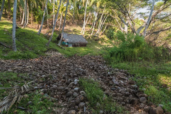 Casas de banana. Ranon village, Ambrym island, Malampa prov, Vanuatu . — Fotografia de Stock