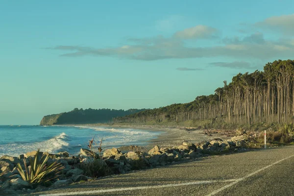 船溪, Haast, 西海岸, Tauparikaka 海洋保护区, 新西兰 免版税图库图片