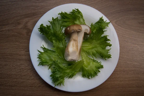 버섯과 샐러드 — 스톡 사진