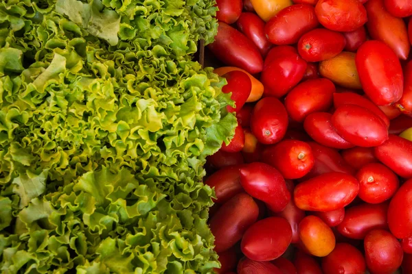 Salade verte et tomates rouges Photo De Stock