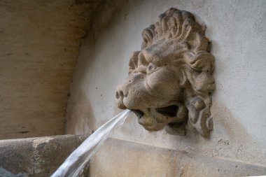 Prag'da bulunan bir aslan başı şeklinde çeşme