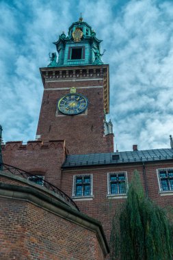 Wawel - Royal castle Vistula Nehri Krakow Polonya