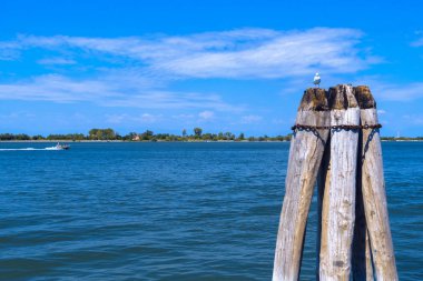 Venedik Lagoon Venedik'te San Michele mezarlığı Adası