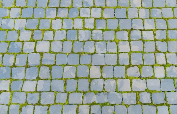 Alte Pflastersteine mit grünem Gras — Stockfoto