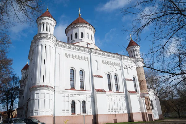 De kathedraal van de meest zuivere moeder van God, Vilnius — Stockfoto