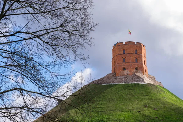 Turm der Gediminas in Vilnius, Litauen — Stockfoto