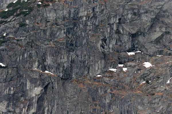 Macro photo of rocks in high Tatras Poland large — Stock Photo, Image