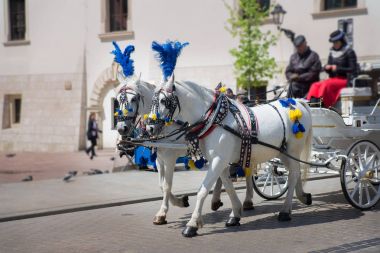 Ulaşım Turizm Merkezi Krakow Polonya geleneksel binicilik modu