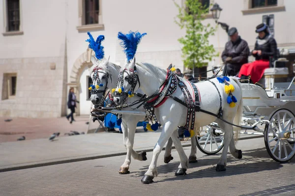 Ulaşım Turizm Merkezi Krakow Polonya geleneksel binicilik modu