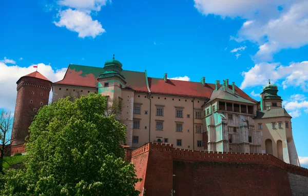 Blick auf den Wawel in Krakau, Polen — Stockfoto