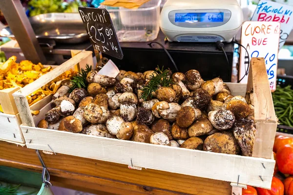 Mushroom on the market in Italy Boletus . Autumn Cep Mushrooms — Stock Photo, Image