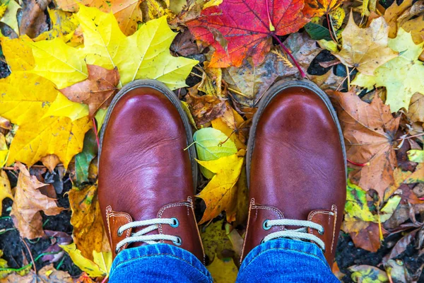 Botas de otoño hojas fondo moda estilo de moda —  Fotos de Stock