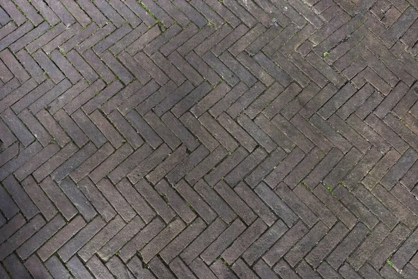 balıksırtı desen gri beton tuğla taşları koydu
