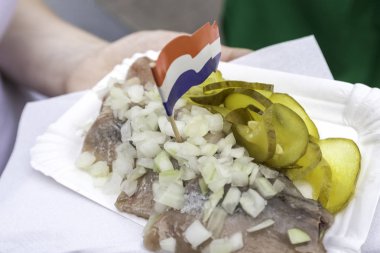 Turşu ile çiğ balıkla geleneksel Hollanda aperatif tutan kadın