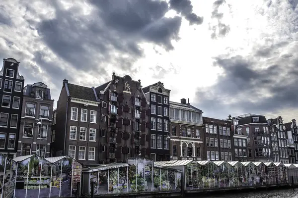 Stora blomstermarknaden i Amsterdam. Amsterdam Nederländerna September 2017 — Stockfoto