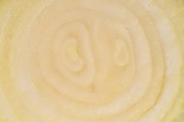 beyaz soğan yarım yakın çekim fotoğraf kesmek.