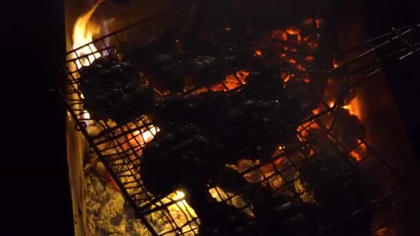 Nachtgrillen Saftige Fleischstücke Die Auf Kohlen Dampfen — Stockvideo