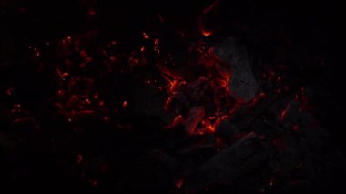Karanlıkta kömürlerin yanma arka plan. 4k