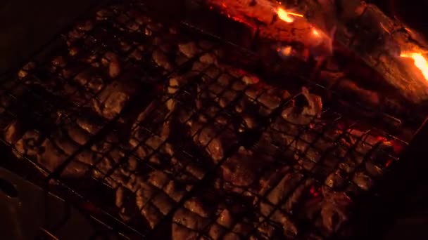 Nachtgrillen Saftige Fleischstücke Die Auf Kohlen Dampfen — Stockvideo
