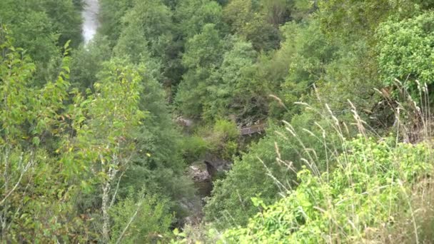 Stone bridge in the mountains in Montenegro over a mountain stream — Stock Video